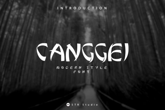 Choosing Canggei for a Modern Website Design