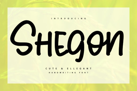 Shegoon: A Designer’s Take on a Bold Display Font